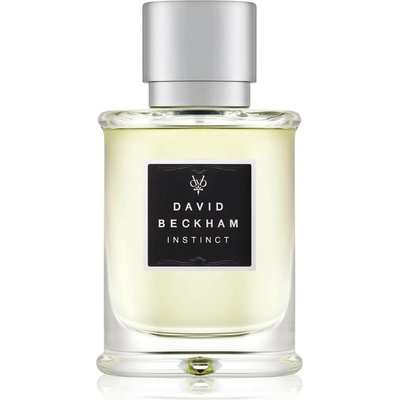 David Beckham Instinct toaletní voda pánská 75 ml