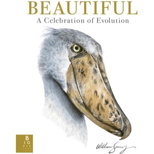 Beautiful (ISBN: 9781800786165)