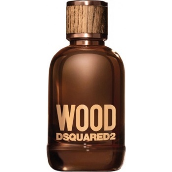 Dsquared2 Wood toaletní voda pánská 100 ml