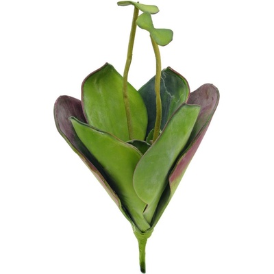 Umělý Leknín, zavřený, zelený, 45cm
