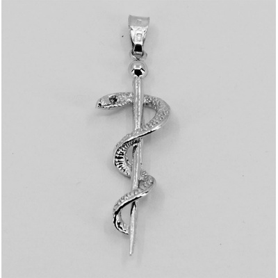 Steel Edge Stříbrný přívěsek Aeskulapova hůl 313084001