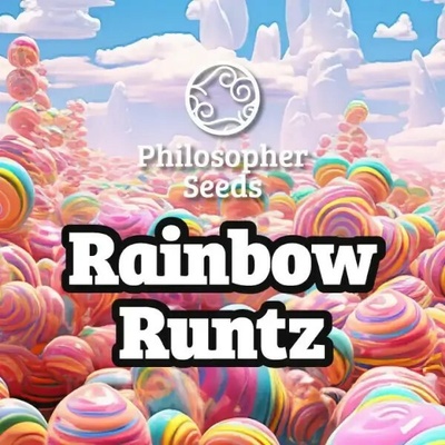 Philosopher Seeds Rainbow Runtz semienka neobsahujú THC 3 ks