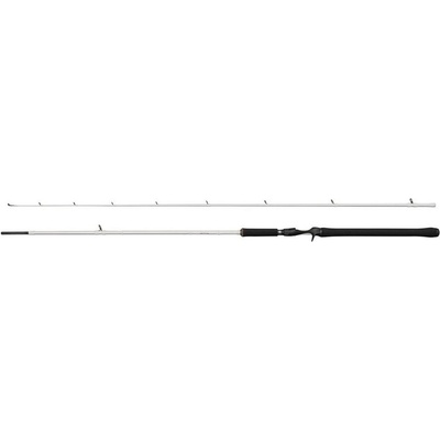 Abu Garcia Beast X2 802 H Trolling Cast 2,44 m 30 - 100 g 2 diely