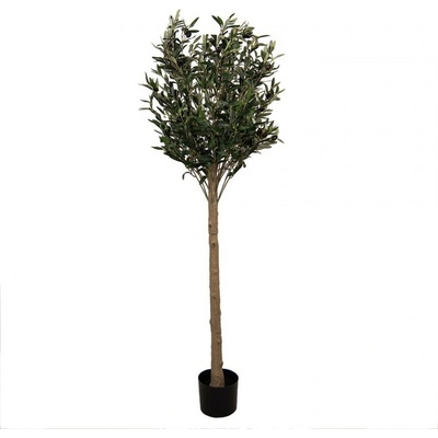 Dekorácia umelý stromček olivovník s olivami Olea Tree - 50*50*165 cm - Clayre & Eef