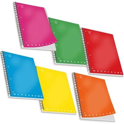 Тетрадка Pigna Monocromo А4 100л. сп (1120027-0200003-1R)