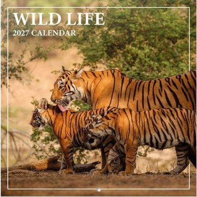 Grupo Erik Wild Life Nástěnný 2026/2027