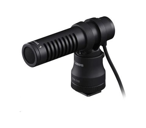 Canon DM-E100