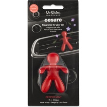 Mr&Mrs Fragrance Cesare Pepper Mint