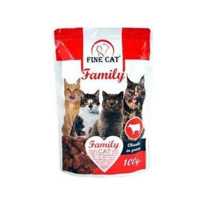 Fine Cat Family s hovězím 24 x 100 g