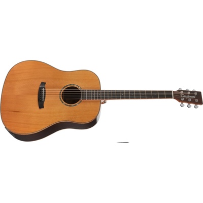 Tanglewood TRS5 SE