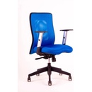Office Pro Calypso