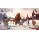 Project Winter