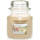 Yankee Candle Wild Sea Grass 12 x 9,8 g