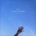 LUMINEERS - BRIGHTSIDE LP
