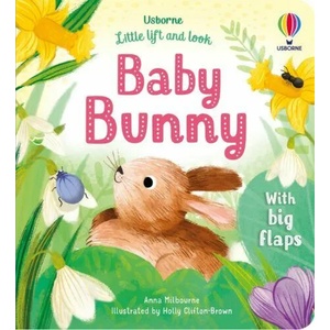 Little Lift and Look Baby Bunny | Anna Milbourne (ISBN: 9781803701653)