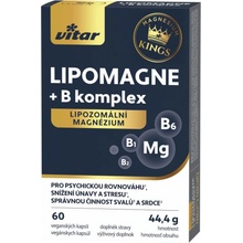 Vitar LIPOMAGNE+B komplex 60 kapslí