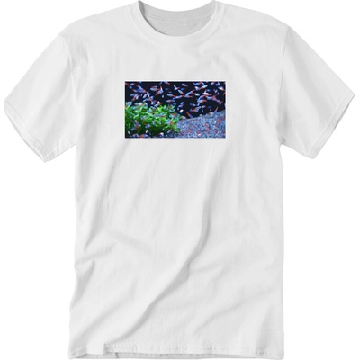 Aqua Merch tričko Neon FIsh Neónky Foto biela