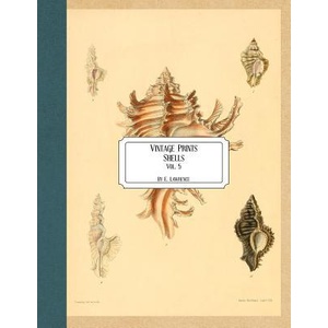 Vintage Prints: Shells: Vol. 5 | E. Lawrence (ISBN: 9781727185706)