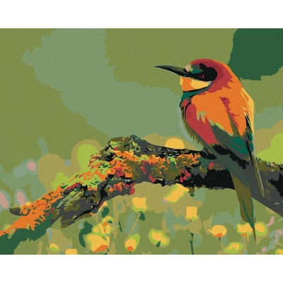 zuty barevný ptáček se špičatým zobákem 100 x 80 cm vypnuté plátno na rám 8596530047278
