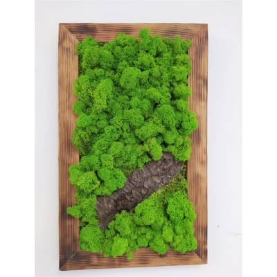 Mechový obraz s přírodním dřevem 50cm x 30cm