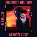 Lightning Seeds Tomorrow's Here To Day CD