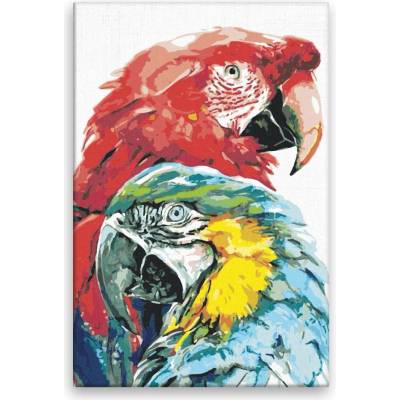 Maľovanie podľa čísel Dva papagáje 02