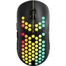 CANYON 7keys (CND-SGMW18)