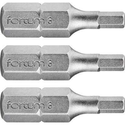 Fortum hrot imbus sada 3ks, H 3x25mm, S2