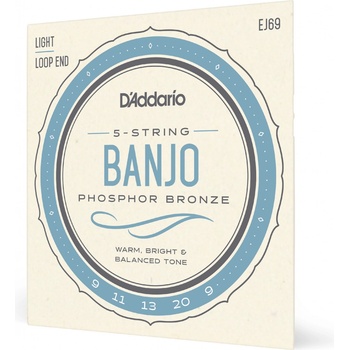 D'addario EJ69