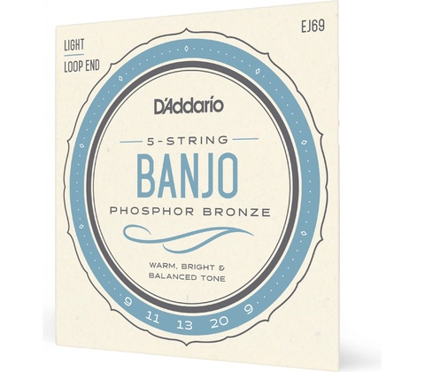 D'addario EJ69
