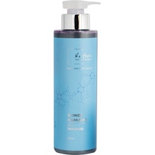 Re-Born Highlight Repair Shampoo 500 ml