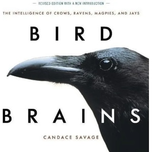 Bird Brains | Candace Savage (ISBN: 9781771644259)