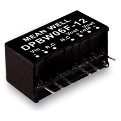 Mean Well DPBW06F-15 Měnič DC/DC modulový 6W 15V