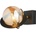 Jupiter 1893