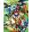 Pokemon X*Y, Vol. 11