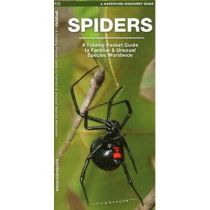 Spiders | James Kavanagh (ISBN: 9781620054925)