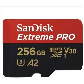 SanDisk microSDXC UHS-I U3 256 GB SDSQXCZ-256G-GN6MA