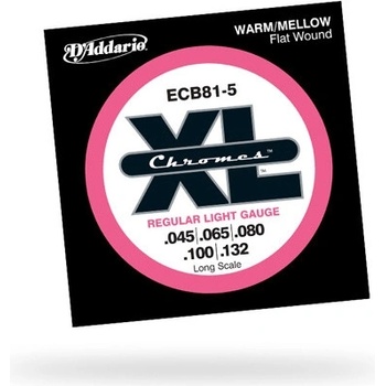 DAddario ECB81-5