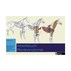 Arbeitsbuch Pferdeanatomie | Maggie Raynor (ISBN: 9783954643059)