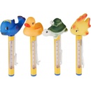 Aquabela teploměr bazénový ZOO