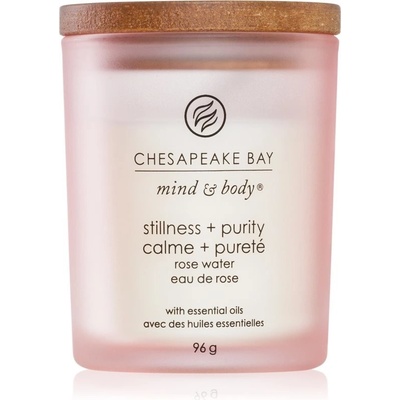 Chesapeake Bay Stillness + Purity 96 g