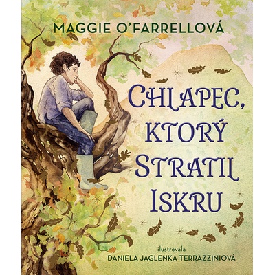 Chlapec, ktorý stratil iskru - Maggie O´Farrell