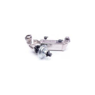 SKV EGR Ventil BMW 1 E81/2/7/8 3 E90/1/2/3 5 E60/1