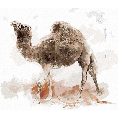 zuty Malování Podle Čísel Velbloud 80 x 100 Cm Plátno Rám