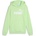 PUMA Essentials no. 1 logo hoodie tr b 152