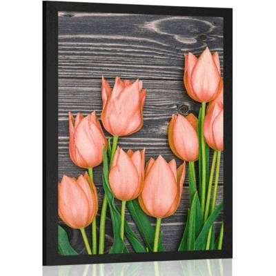 Plakát oranžové tulipány na dřevěném podkladu - 40x60 white