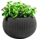 Image 1 of Keter Cozy M (229538/229540/229541/231129)