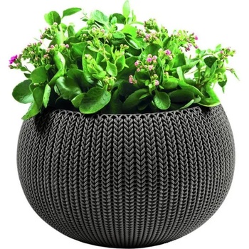 Image 1 of Keter Cozy M (229538/229540/229541/231129)