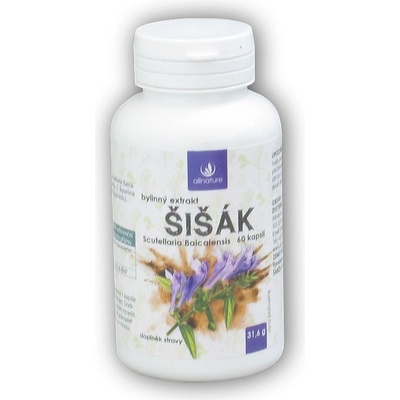 Allnature Šišák bylinný extrakt 60 kapsúl
