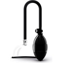 Saiz Basic
